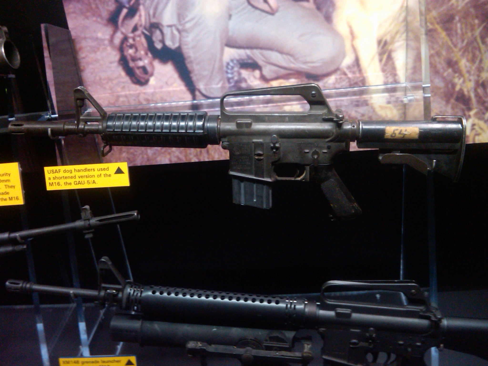 IMG01590-20120517-1237