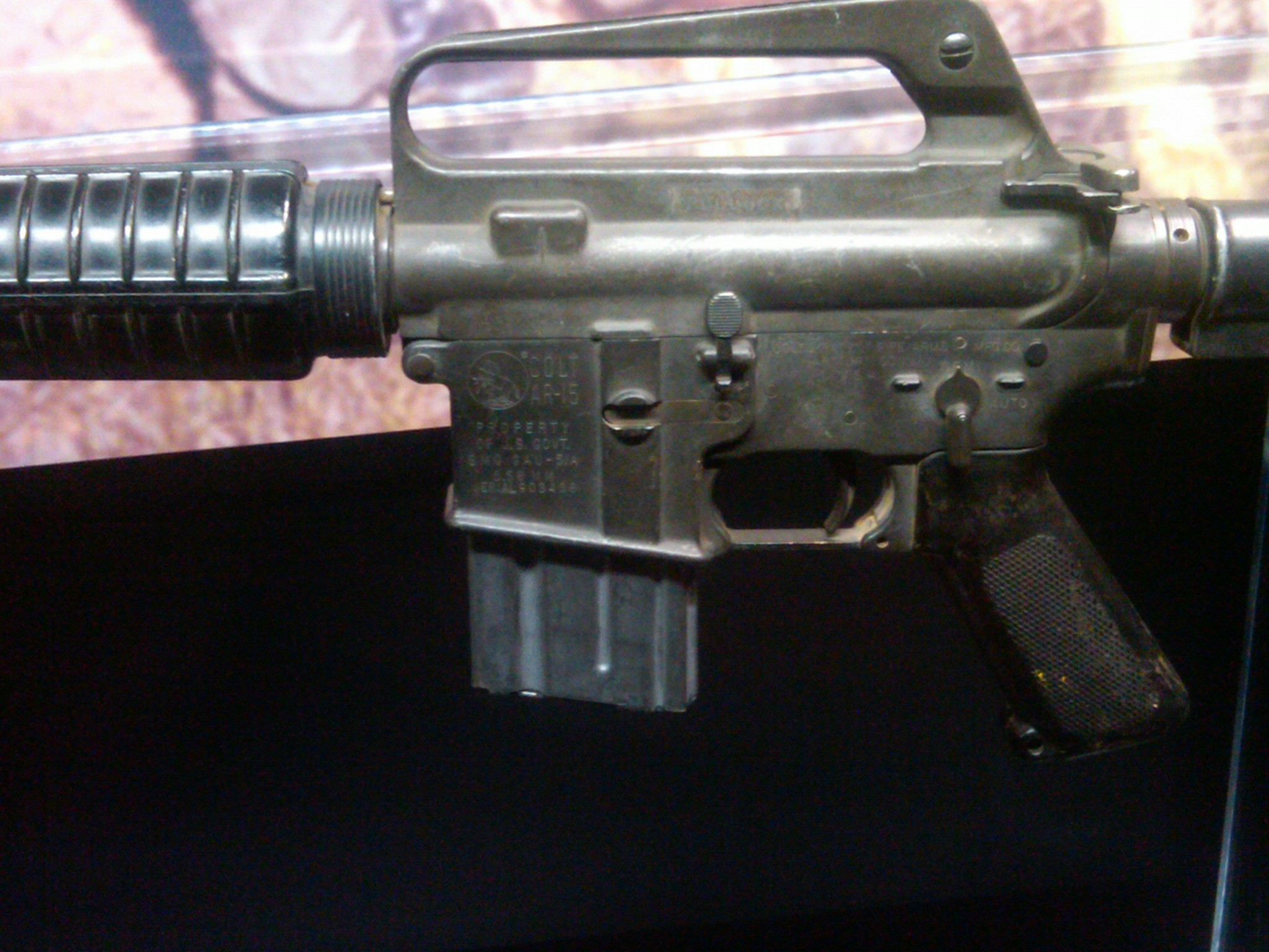 IMG01591-20120517-1237