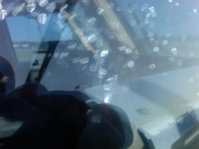 IMG01762-20120517-1443