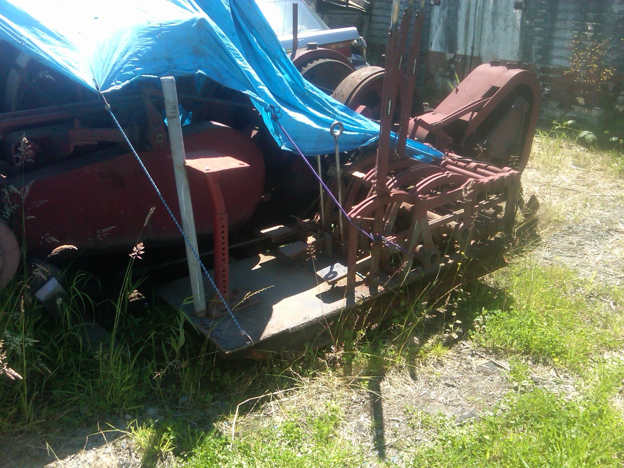 IMG01917-20120705-1257