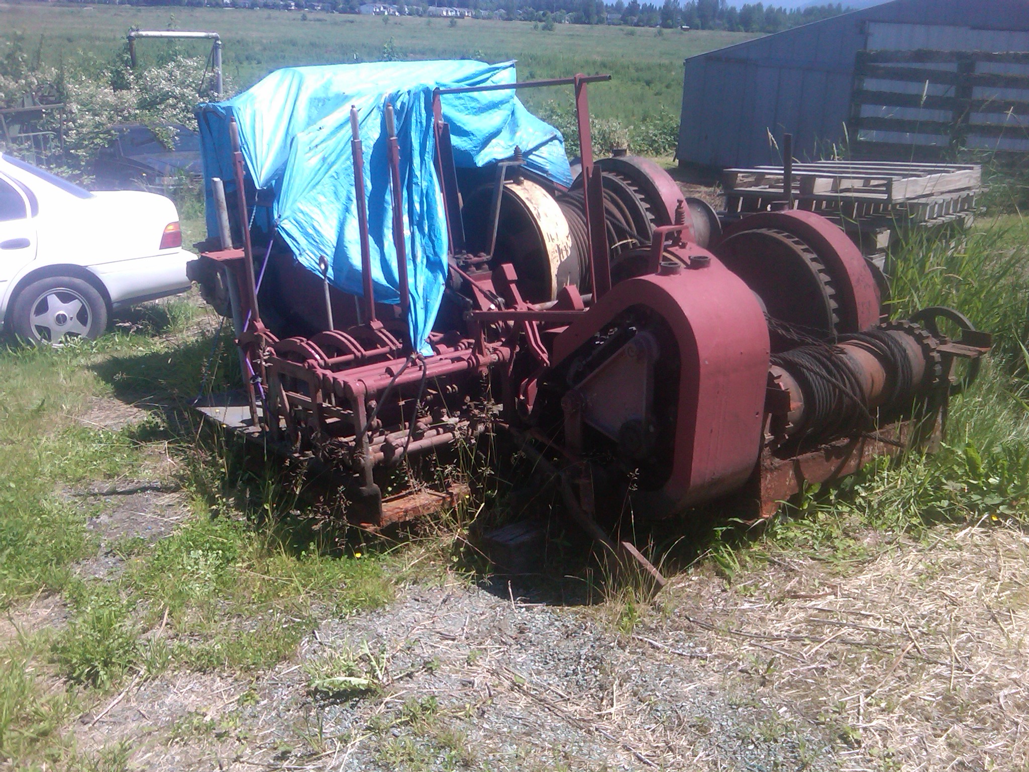 IMG01919-20120705-1257