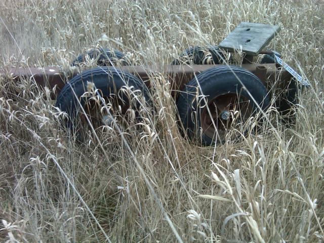 IMG00028-20100119-1526