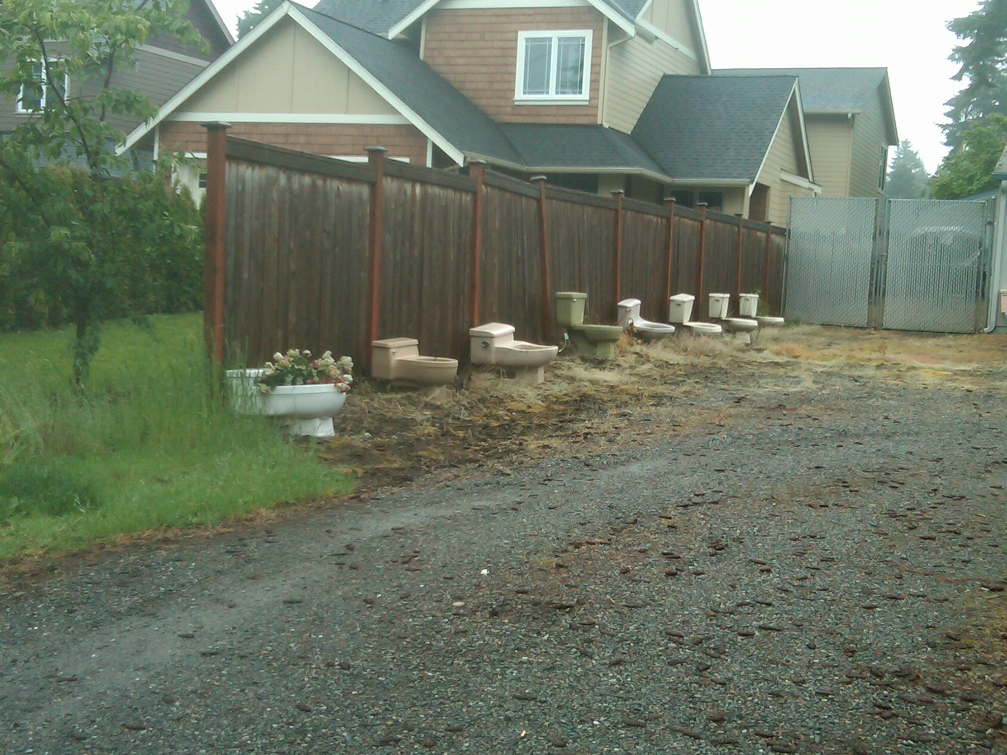 IMG00218-20100529-1311