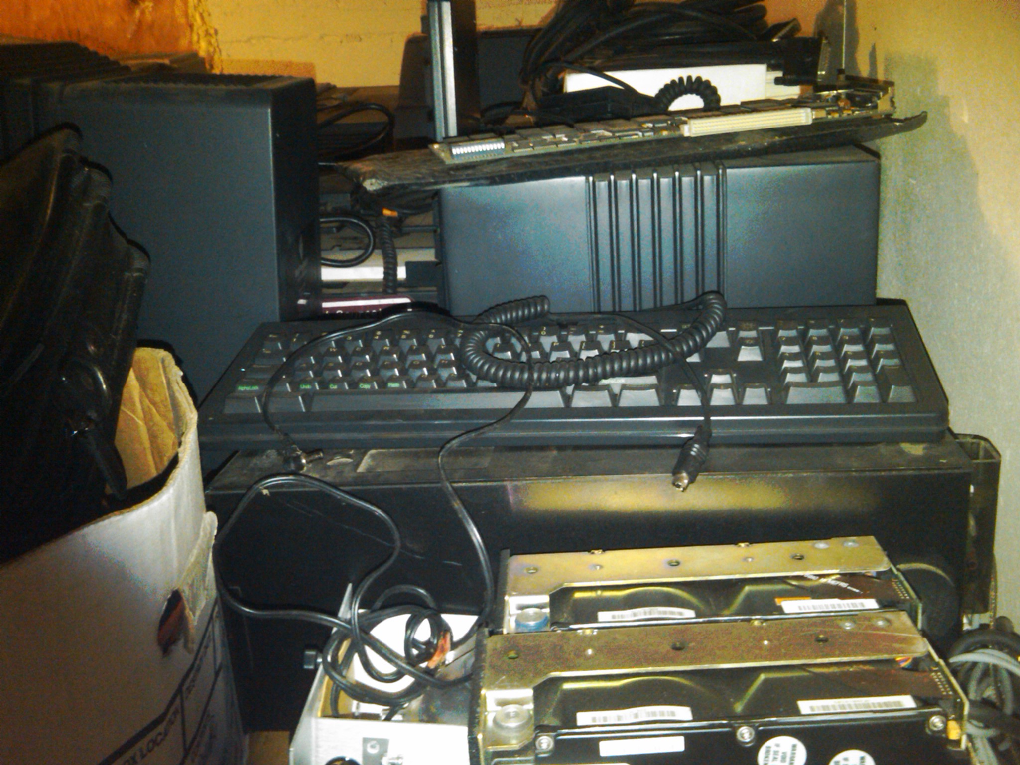 IMG00644-20110308-1613