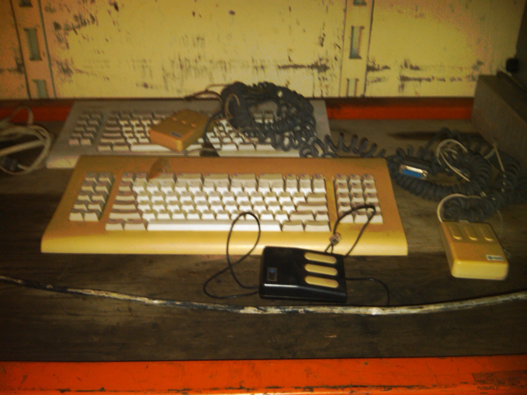 IMG00628-20110308-1515