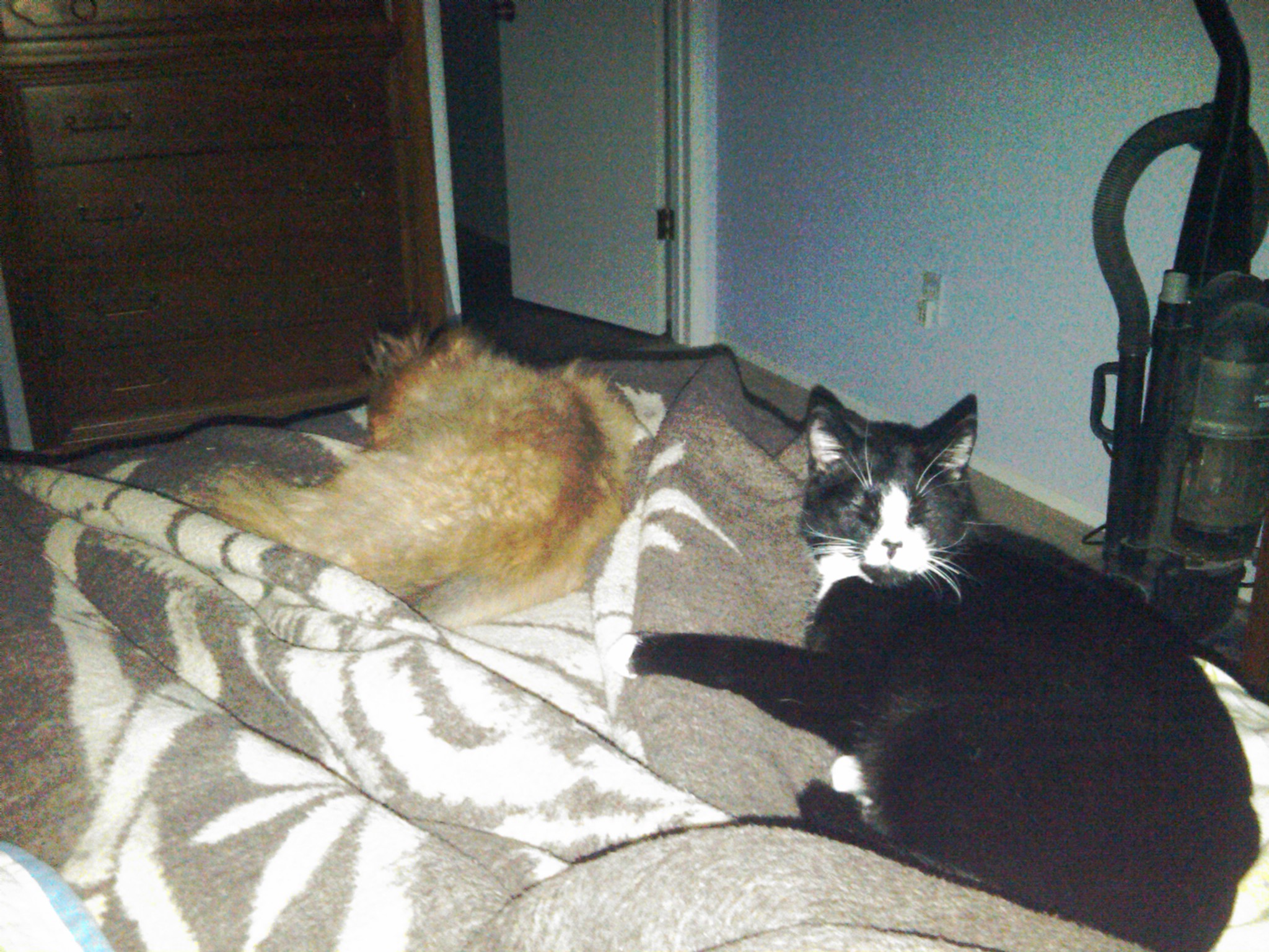 IMG00623-20110308-0631