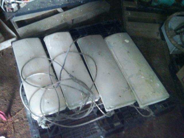 IMG00659-20110309-1538