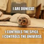 dunecat