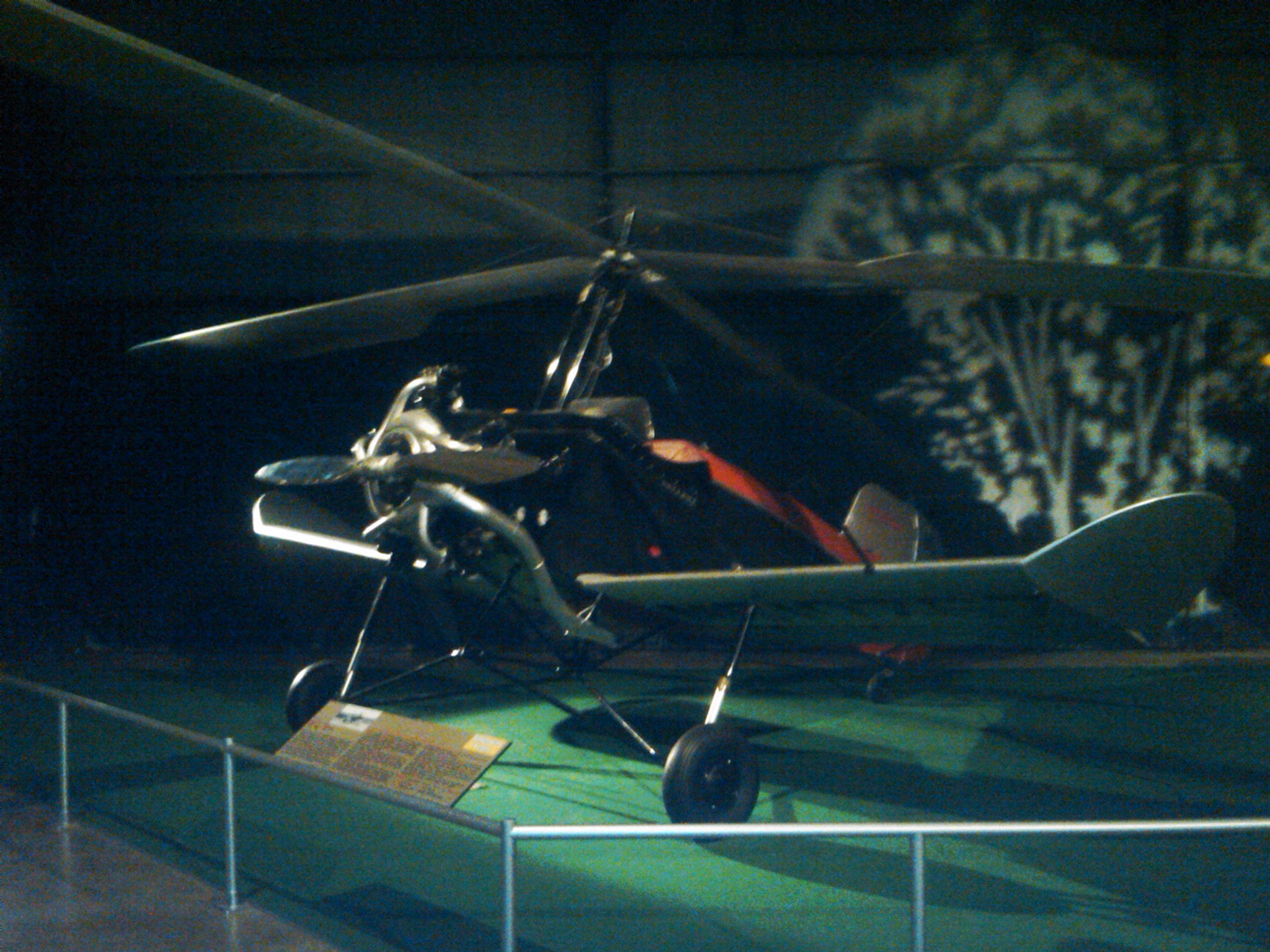 IMG01487-20120517-1041