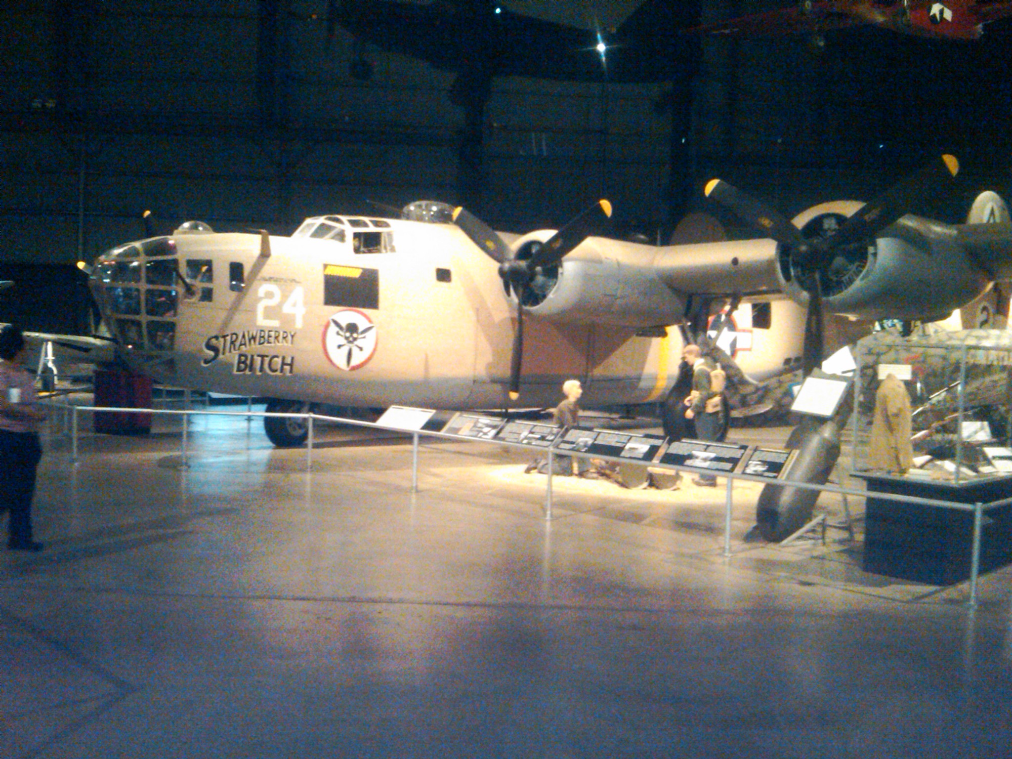 IMG01500-20120517-1057